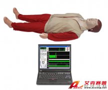 TSI CPR780型高級(jí)心肺復(fù)蘇模擬人